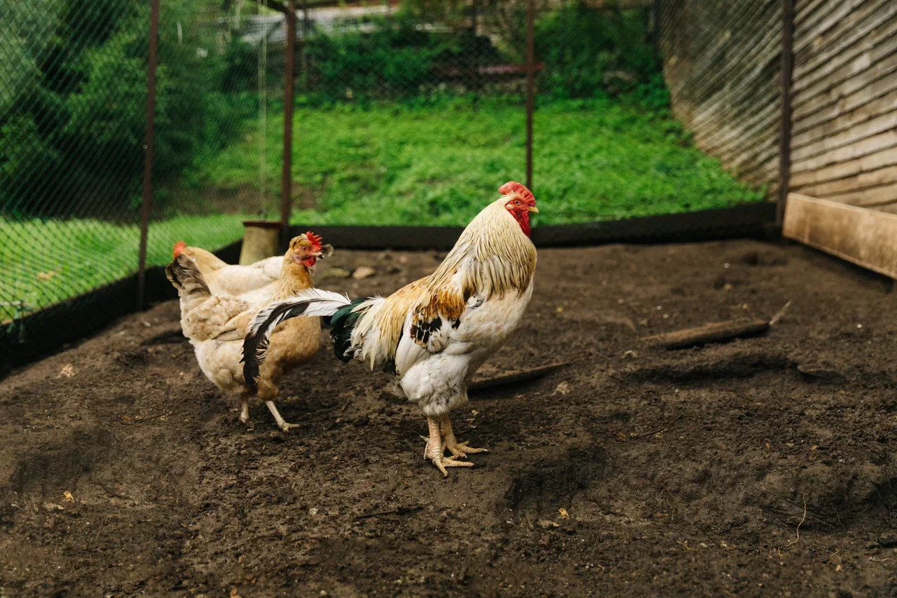 О комплексе — фото 6